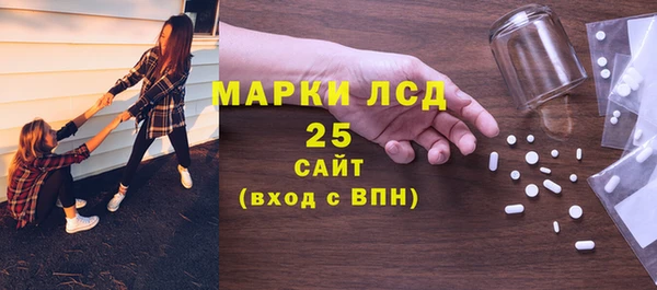 шишки Пересвет
