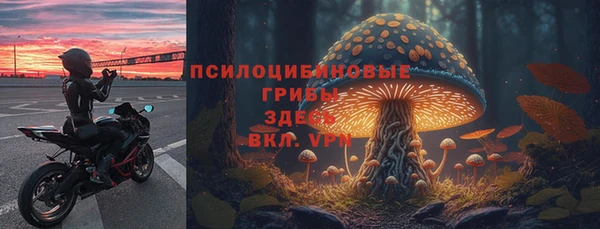 2c-b Пестово
