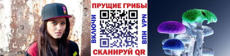 Псилоцибиновые грибы ЛСД  цены наркотик  Чайковский 